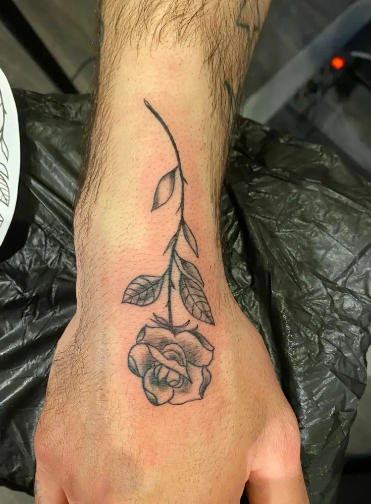 Lange roos met blad op een enkel