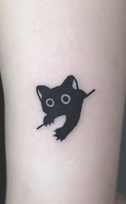 Zwarte kat met grote ogen