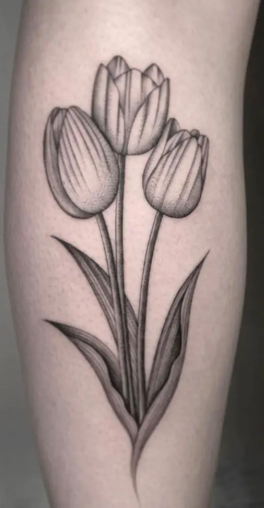 Drie tulpen in fijne dotwork-schaduw