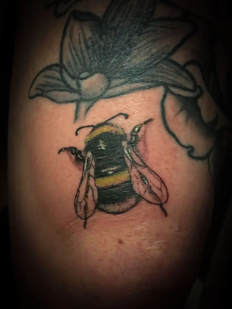 Realistische hommel in kleur