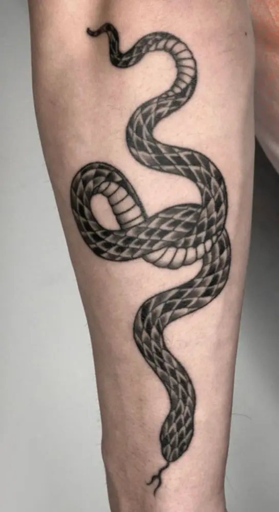Lange slang met schubben in blackwork